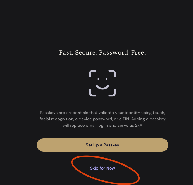 Ether.fi 引导页面,点击 Skip for Now 跳过