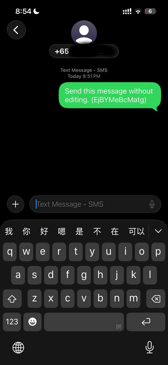 手机短信发送成功的界面